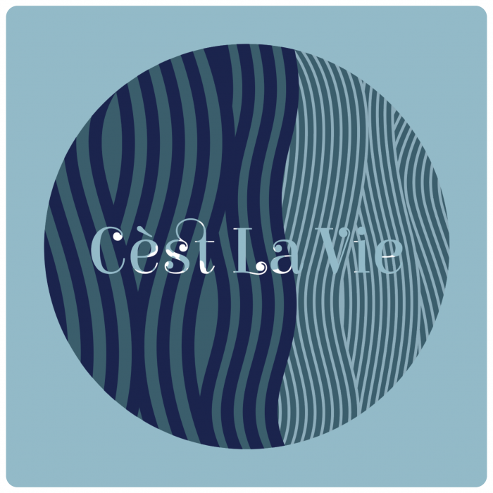 C’est La Vie- Unisex Hoodie - Image 2